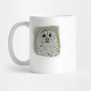 Barred Owl Mug